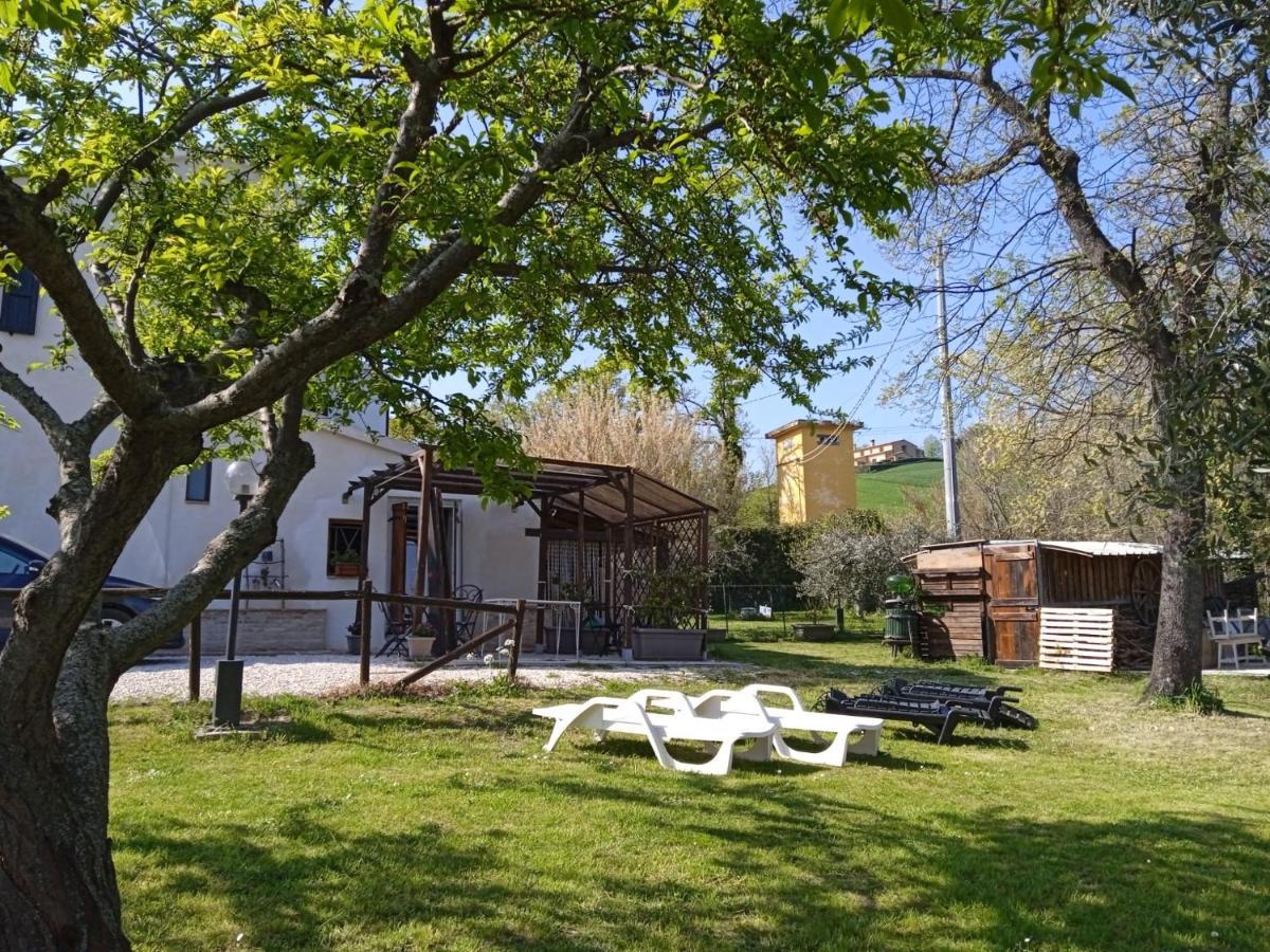 Bed and Breakfast Sotto L'Ulivo à Mondavio Extérieur photo