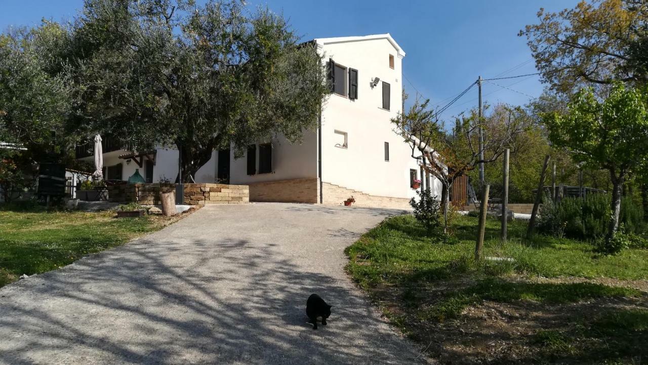 Bed and Breakfast Sotto L'Ulivo à Mondavio Extérieur photo