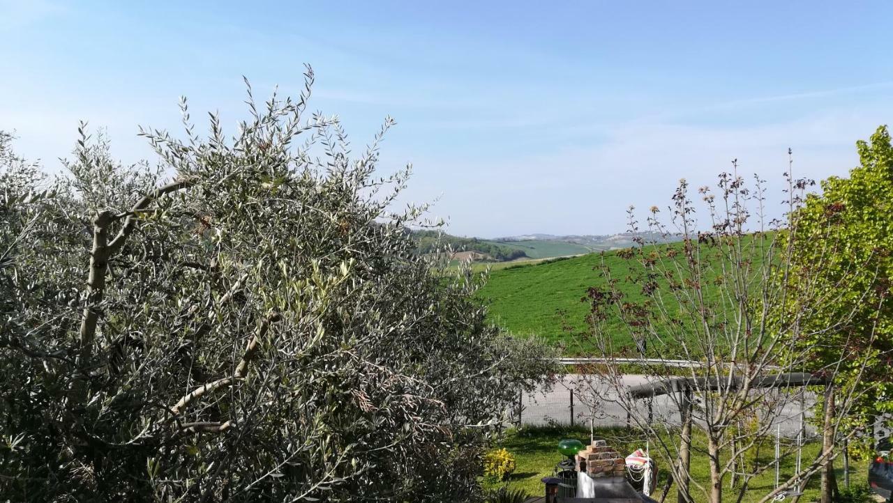 Bed and Breakfast Sotto L'Ulivo à Mondavio Extérieur photo